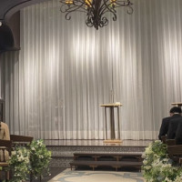 カーテンの後ろには緑いっぱいになっていました