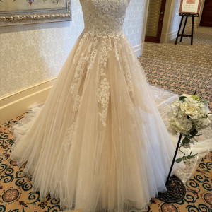 ウエディングドレス|769563さんの東京ディズニーシー・ホテルミラコスタ(R)の写真(2567843)