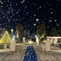 シャボン玉が綺麗です