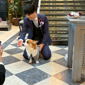 ウェディングケーキのファーストバイトのケーキのおすそ分け|769577さんのWedding of Legend GLASTONIA  - グラストニア -の写真(2530735)