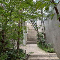 式場と披露宴をつなぐ庭