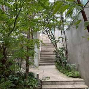 式場と披露宴をつなぐ庭|769734さんのIWAI OMOTESANDO(イワイ オモテサンドウ)の写真(2531139)