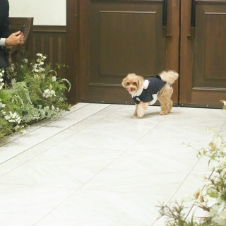 犬♡