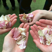 フラワーシャワーはみなさんの手のひらいっぱいに！