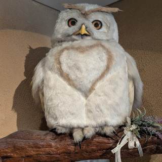 動くかわいいフクロウさん装飾