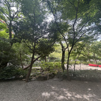 緑に赤が素敵でした