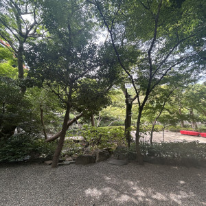 緑に赤が素敵でした|769850さんの八芳園の写真(2531980)