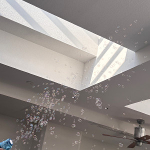 シャボン玉|769902さんのTHE NANZAN HOUSE （ザ ナンザン ハウス）の写真(2634643)