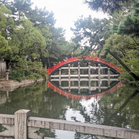 花嫁行列を進むと、シンボルの太鼓橋を背景にこの橋の上で撮影。