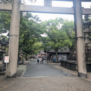 この道を花嫁行列で進みます。緑いっぱいで癒されます。|769932さんの住吉大社の写真(2546472)