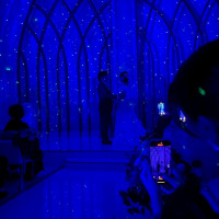 スターライトの演出
ウエディングキスの際に使用