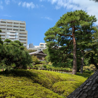 庭園からは少し建物見える