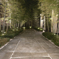 建物に続く竹林