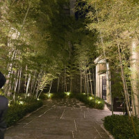 エントランスに繋がる竹林