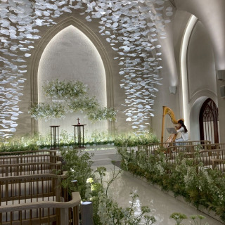 全体を写すとこんな雰囲気です