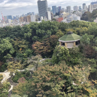 披露宴会場からの景色