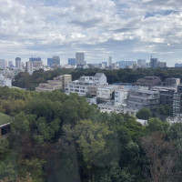 披露宴会場からの景色