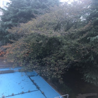 披露宴から見える景色