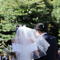 フラワーシャワー