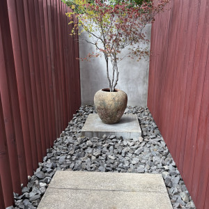 こだわって変えてくださっている植物|770679さんのIWAI OMOTESANDO(イワイ オモテサンドウ)の写真(2535427)