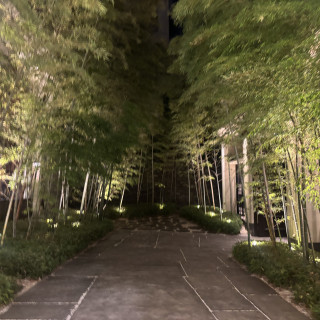 入り口の竹林が素敵でした。