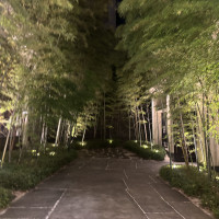 入り口の竹林が素敵でした。