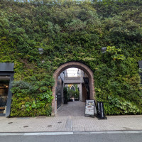 ツタで覆われた入口