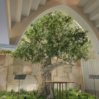 印象的な大きな木