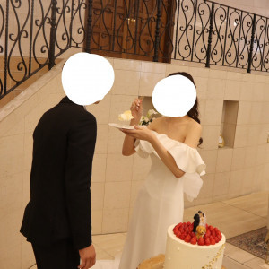 ファーストバイト|771022さんのマリエール ガーデン バーベナの写真(2537498)