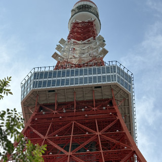 敷地内からの眺望