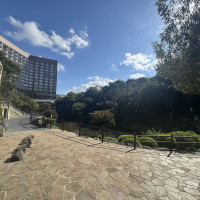 庭園