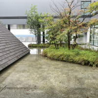 駅内なのに緑もありとても良かったです。