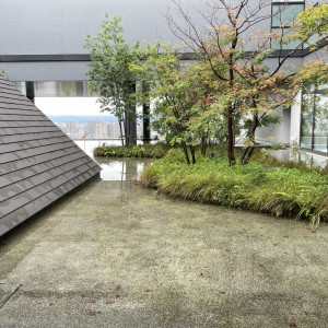 駅内なのに緑もありとても良かったです。|771274さんのザ・フォレストテラス熊本の写真(2538825)