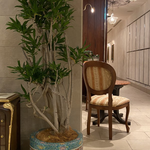 ロビーに観葉植物がありとても落ち着くと思います。|771274さんのレストランひらまつ博多の写真(2553834)