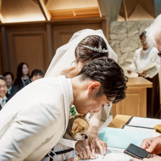 結婚証明書に愛犬が肉球スタンプを押してくれた
