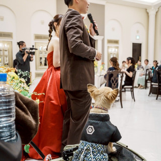 イベント中も愛犬が近くにいれる環境でした