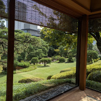 壺中庵の松の間