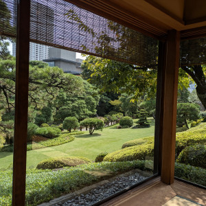壺中庵の松の間|771389さんの八芳園の写真(2546119)