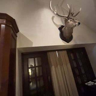 オーベルジュ・ド・リル サッポロ (ひらまつウエディング)のクチコミ 披露宴会場の写真(1枚目)