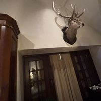 小さい披露宴会場の装飾