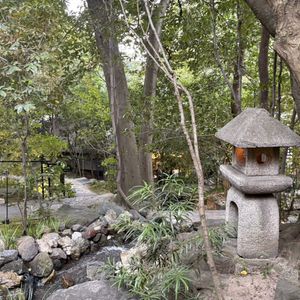 庭園|771728さんのアカガネリゾート京都東山(AKAGANE RESORT KYOTO HIGASHIYAMA)の写真(2638131)