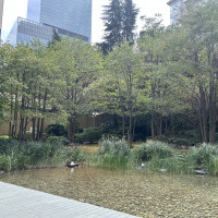 テラスから見える景色