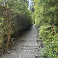 エントランス横にある竹の小道