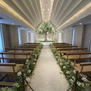 オリーブの木で愛を誓えます