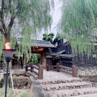 入り口から和の雰囲気が漂い、日本っぽさを感じることができます