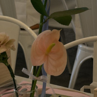 装花