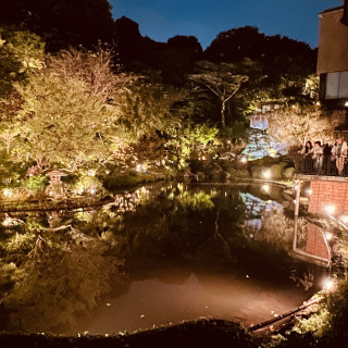 庭園とライトアップ