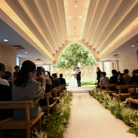 オリーブの前で