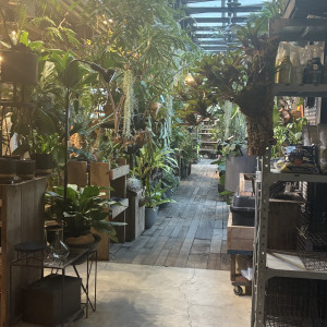 この道を通って挙式会場へ|772165さんのMEDI(メディー)の写真(2547035)