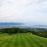 日本平の緑の芝生です
